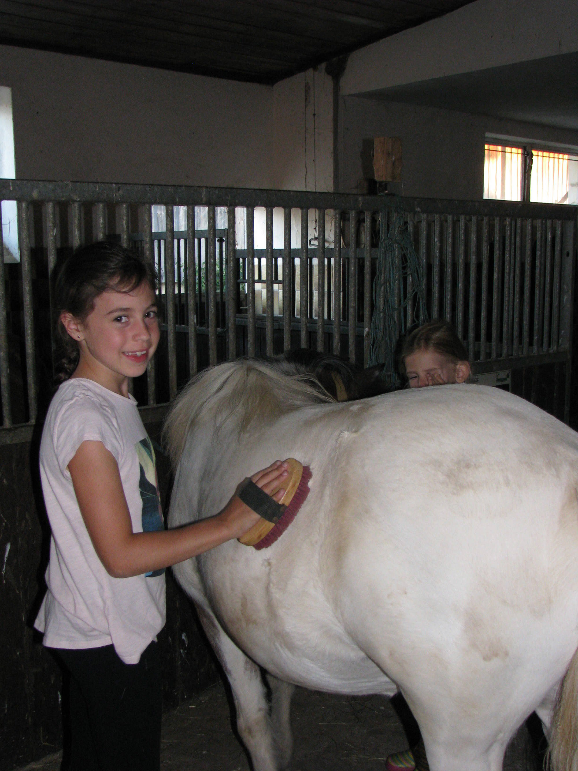 Tiere Bauernhof