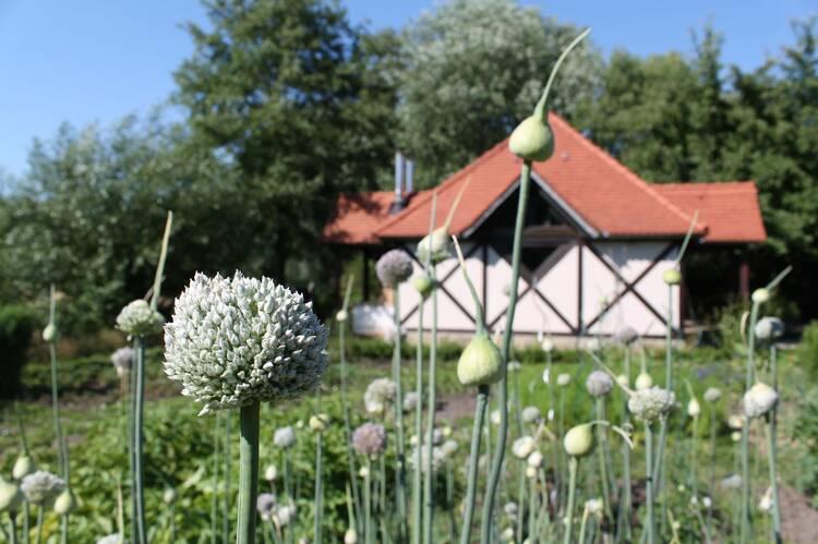 Alte Fasanerie auf der Familienfarm Lübars Berlin Bauernhof Lübars Berlin