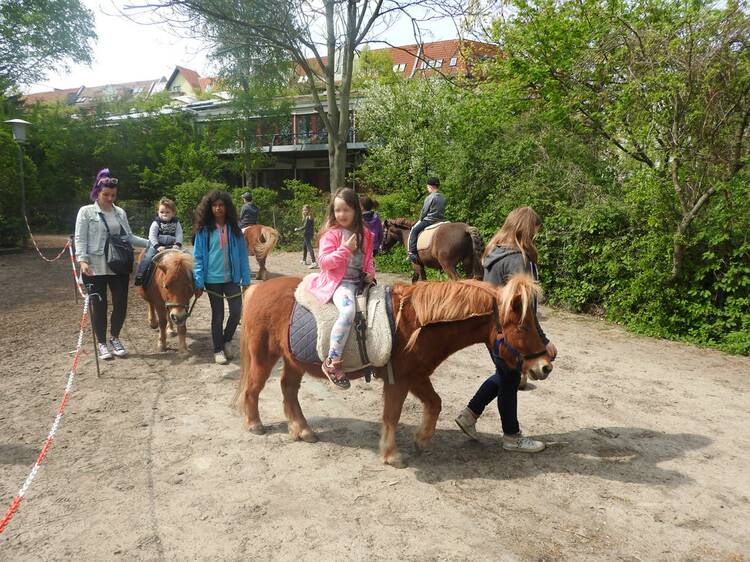 Kinderbauernhof NUSZ in Berlin Kinderbauernhof NUSZ Berlin