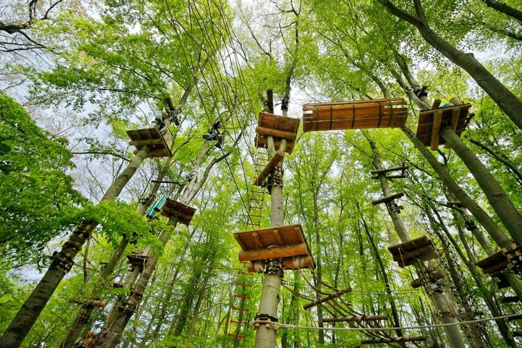 Kletterwald AbenteuerPark Potsdam Kletterpark Potsdam