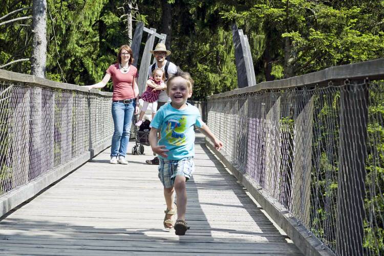 Für Schwindelfreie: der Baumwipfelpfad im Bayerischen Wald Baumwipfelpfad Bayerischer Wald