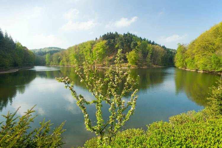 Ausflüge Pfälzer Wald