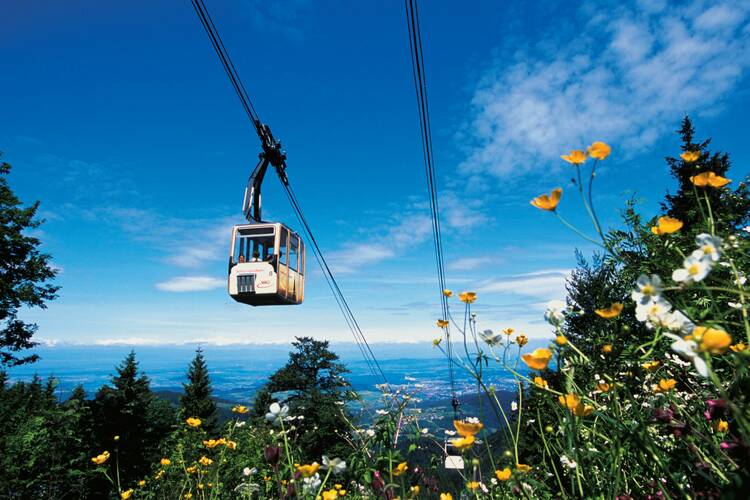 Hoch hinaus mit der Schauinslandbahn Schauinslandbahn