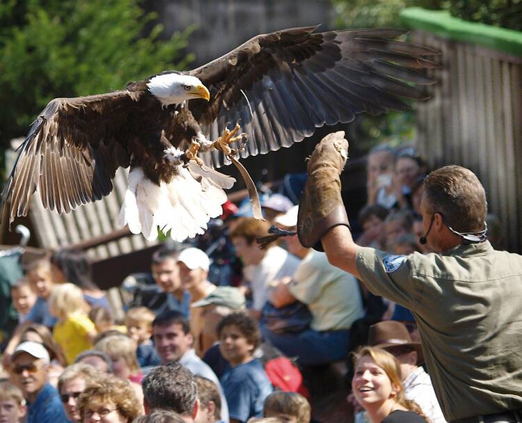 Vogelpark Steinen Schwarzwald