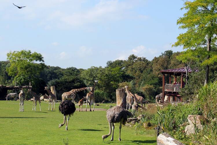 Zoo Leipzig