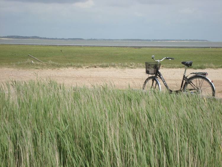 Amrum Urlaubsort Nordsee