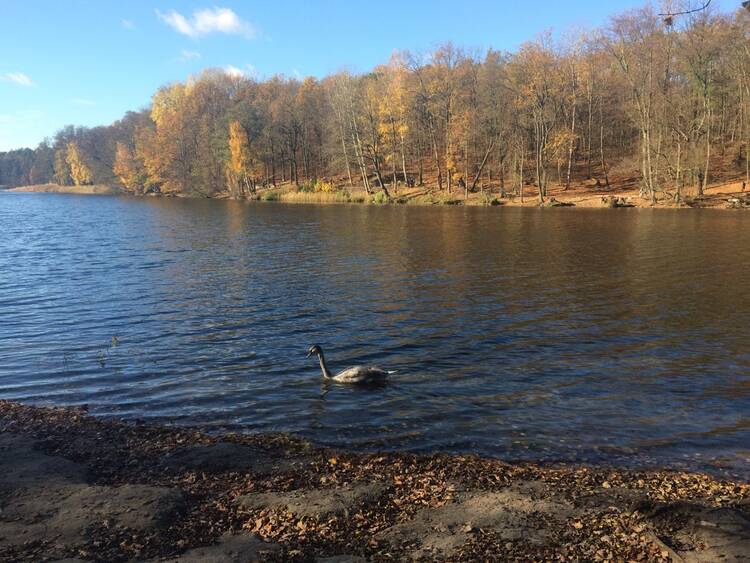 Leise ruhet der See Geschenk Eltern Ruhe