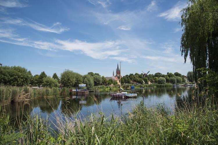 Sich auf dem Weinberg in Werder eine Erfrischung gönnen Werder Brandenburg