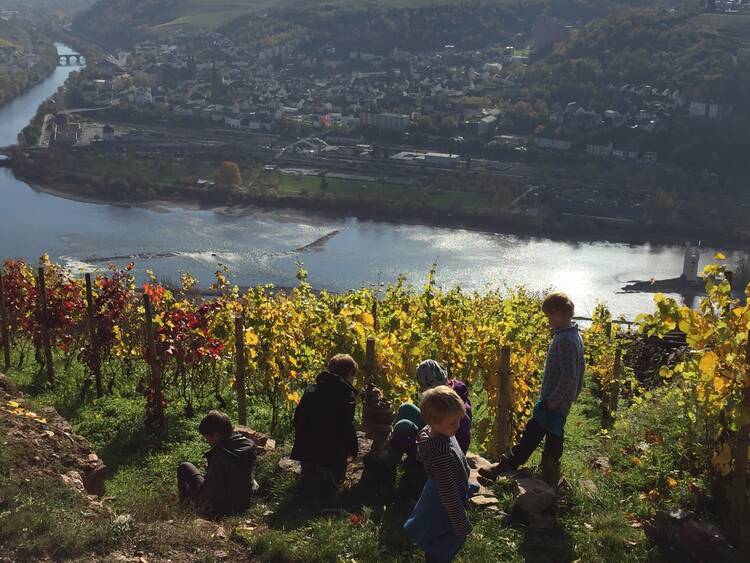 Auf einem Rhein-Schiff an der Loreley vorbei schippern Rhein Schiff Loreley