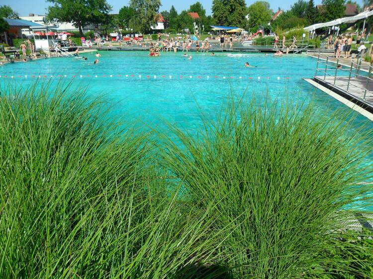 Naturerlebnisbad Grone in Göttingen Naturerlebnisbad Grone Göttingen