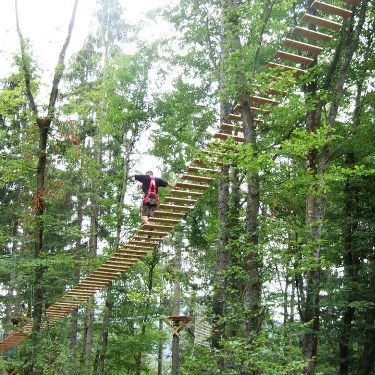 Action Forest Kletterwald im Schwarzwald Kletterwald Schwarzwald