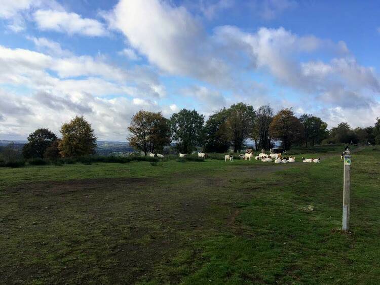 Eifel Landschaft