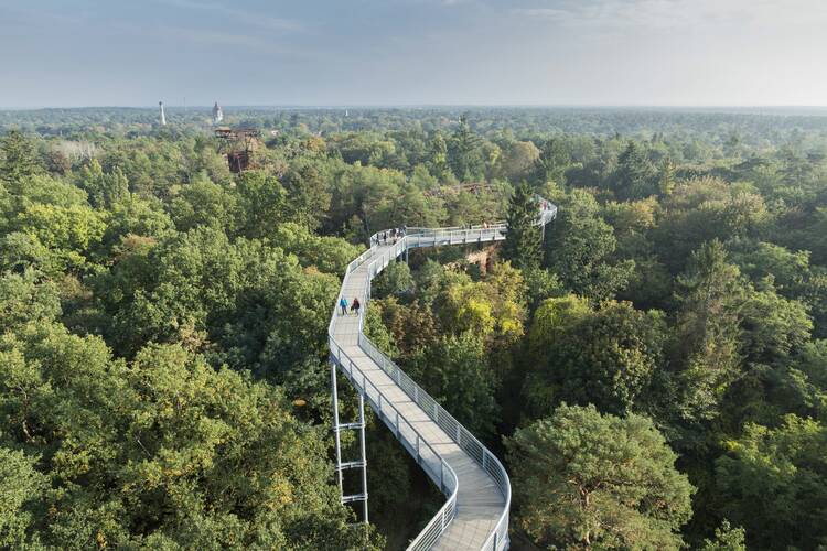 Baumkronenpfad Beelitz