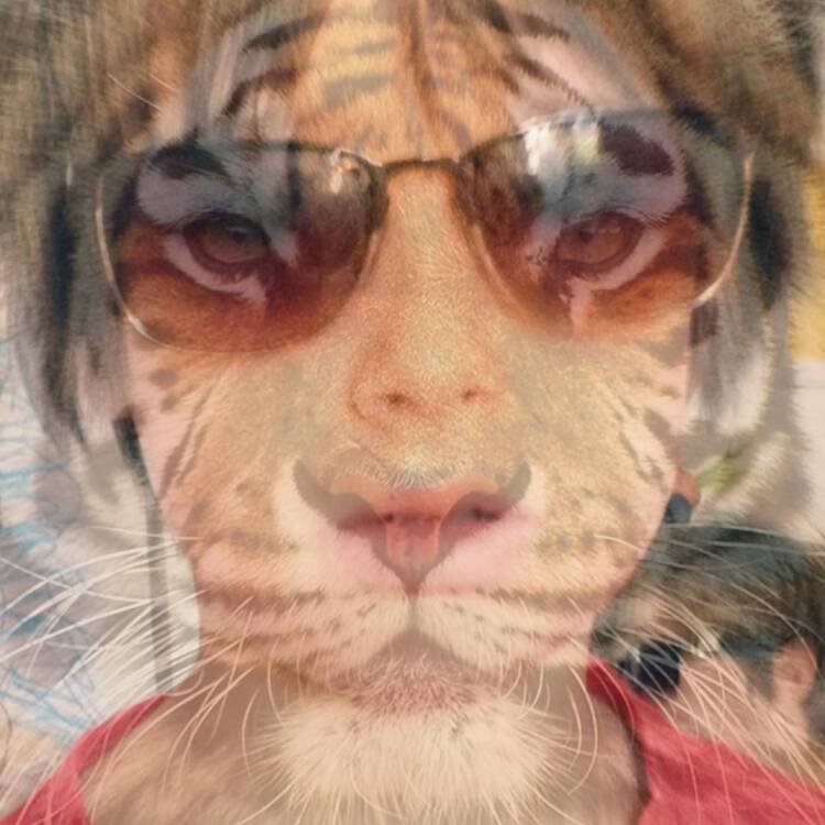 Roarrrr! Verkleiden Tipps Was tun Mit Kindern