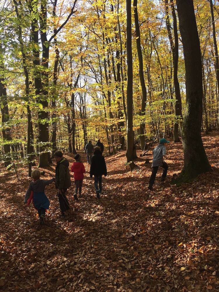 Ab in den Wald Bastelmaterial suchen! Wald Bastelmaterial
