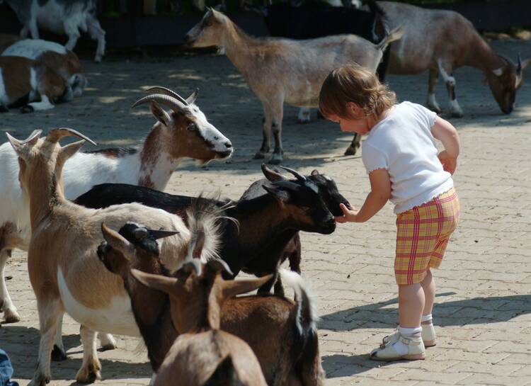 In den Tierpark Aachen Tierpark Aachen