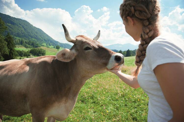 Bauernhof Urlaub Berge