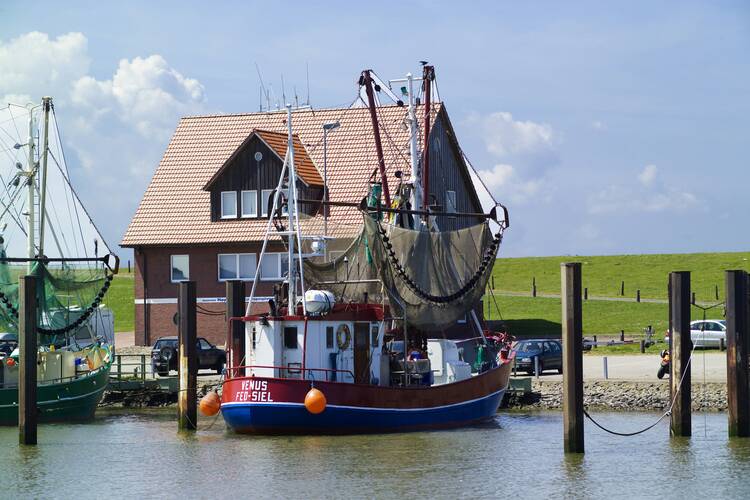 Die kleine und unbekannte Nordsee Halbinsel Butjadingen Butjadingen Urlaubsort Nordsee