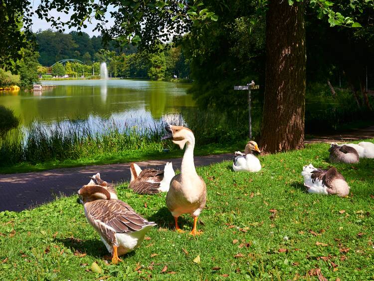 In den Deutsch-Französischen Garten in Saarbrücken Deutsch-Französischer Garten Saarbrücken