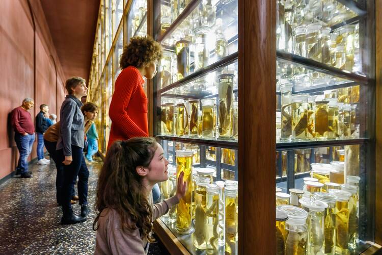 Eine Nachtführung im Naturkundemuseum mitmachen Naturkundemuseum Berlin Nachtführung