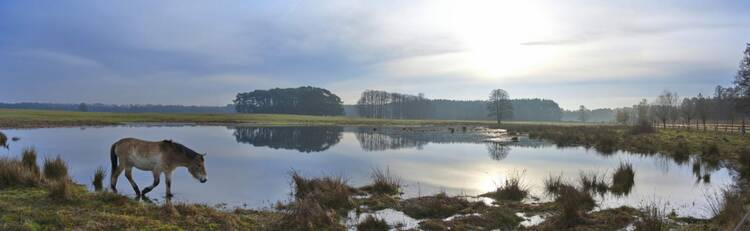 Wildpark Schorfheide