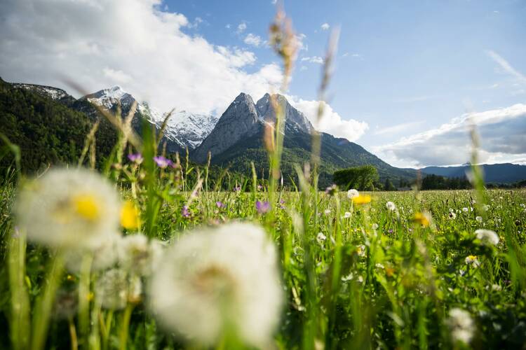 Auf die Zugspitze fahren Zugpsitze Familie