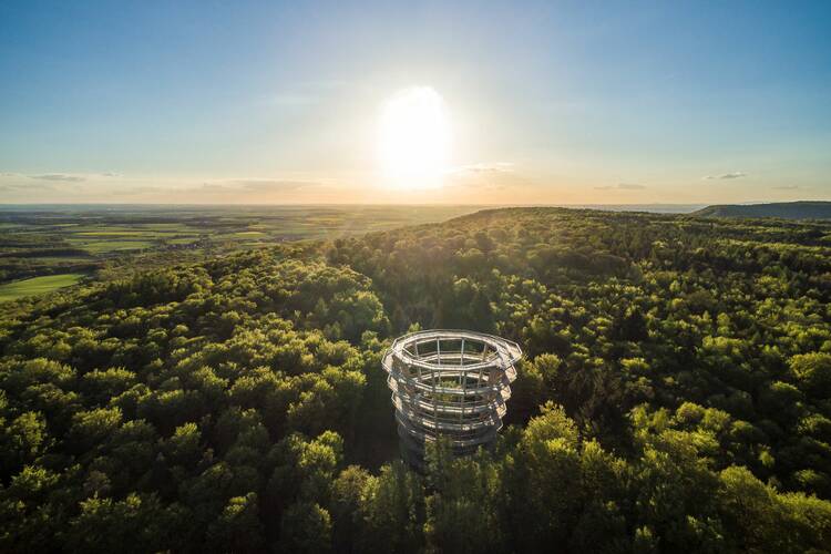 Auf den Baumwipfelpfad Steigerwald Baumwipfelpfad Steigerwald