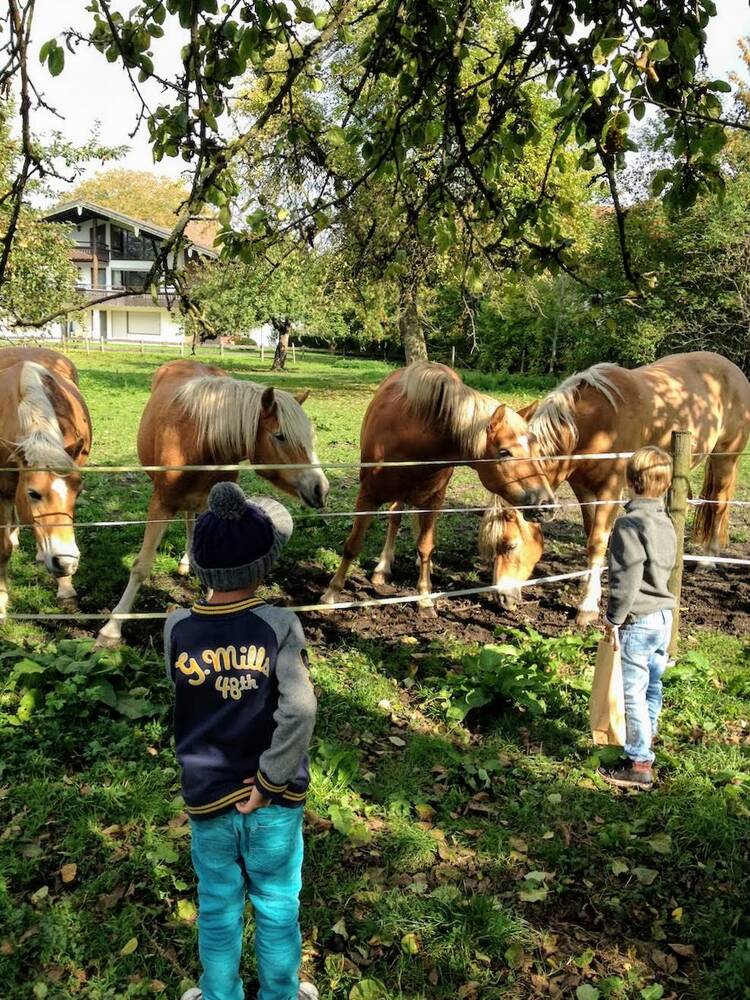 Kurzurlaub Münsterland