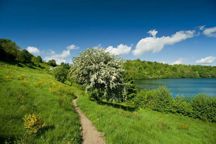 Nationalpark Eifel