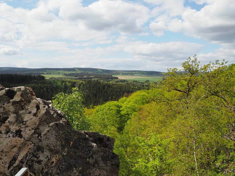 Der Keltische: Nationalpark Hunsrück-Hochwald Nationalpark Hunsrück-Hochwald