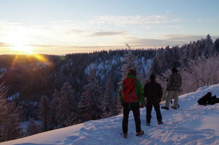 Der Schwarze: Nationalpark Schwarzwald Nationalpark Schwarzwald