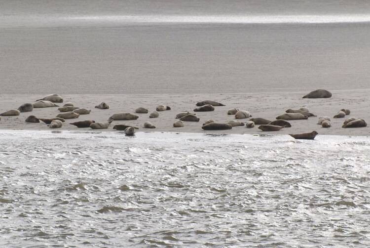 Matschig und stürmisch: der Nationalpark Wattenmeer Nationalpark Wattenmeer