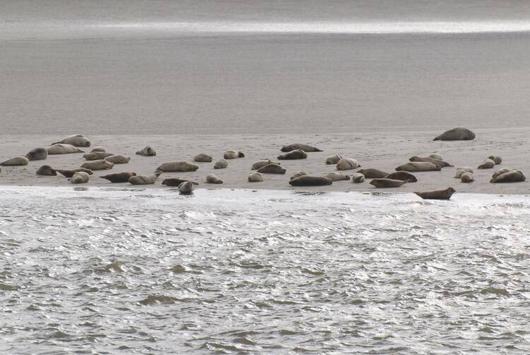 Nationalpark Wattenmeer