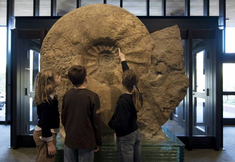Zu den Dinos und Indianern ins Naturkundemuseum Naturkundemuseum Münster