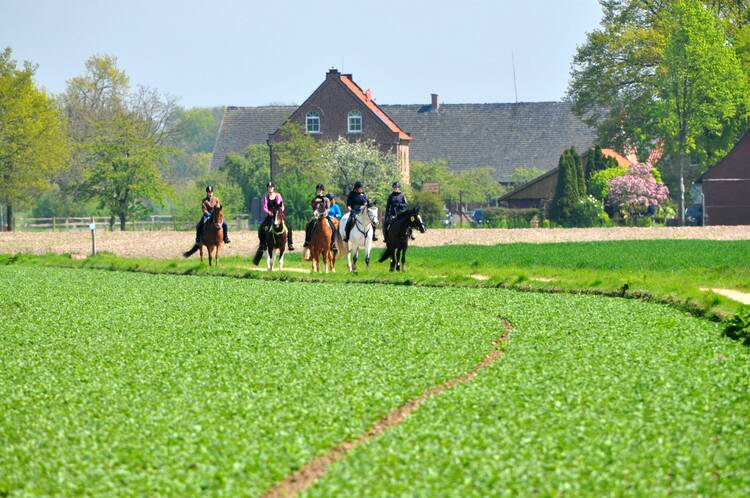 Auf den Kinderbauernhof Ponyreiten und Pferde liebhaben Reiten Münster