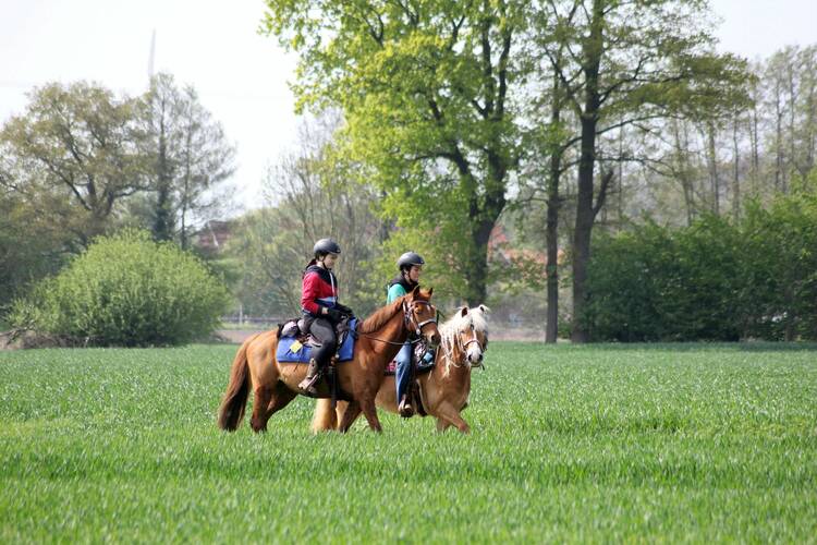 Einen Ausritt machen Reiten Münsterland