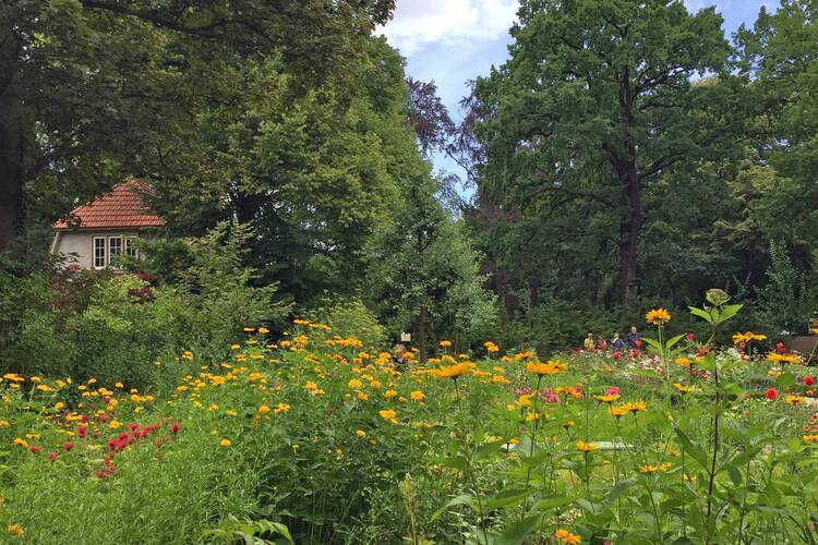 Spaziergang Wannsee Berlin