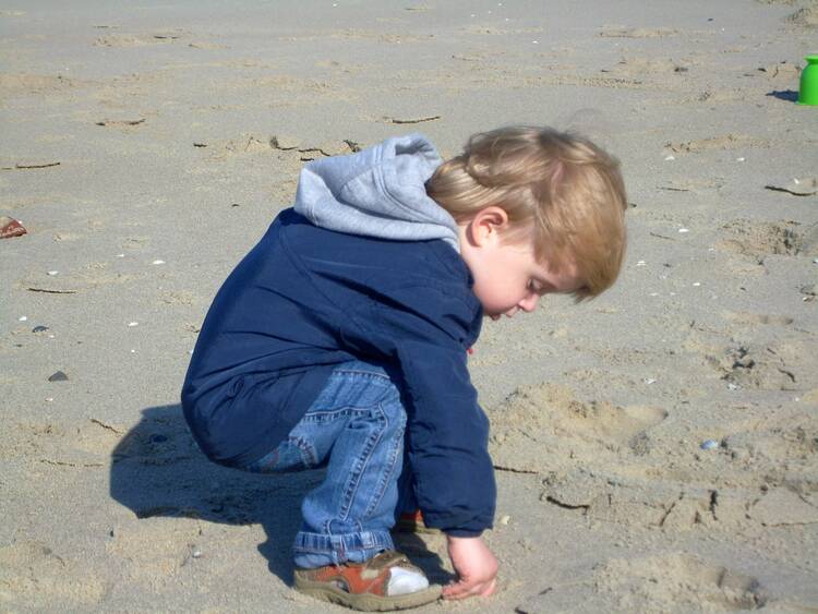 Strand Amrum