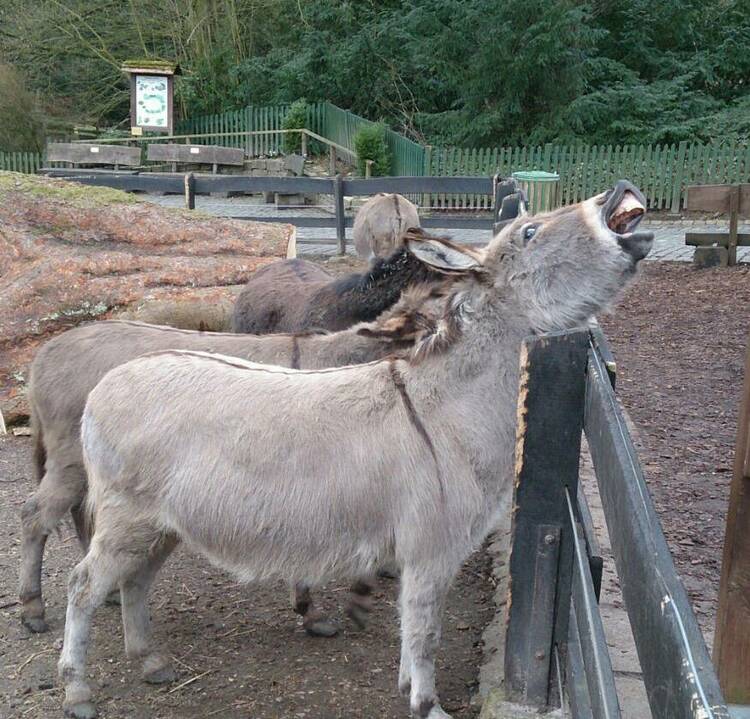 Zoo Bielefeld