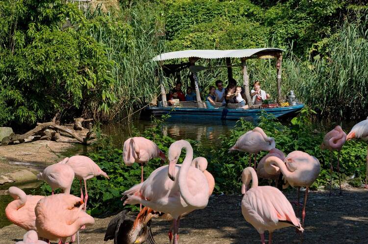 Erlebnis Zoo Hannover