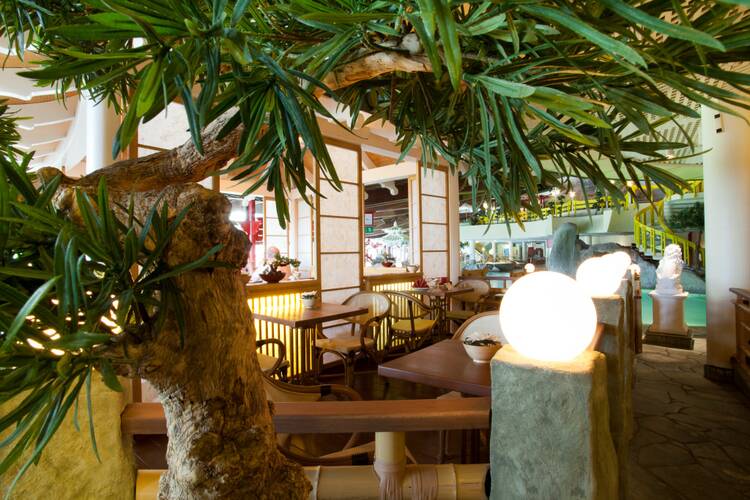 In den Kurhessen Therme abtauchen Kurhessen Therme Kassel