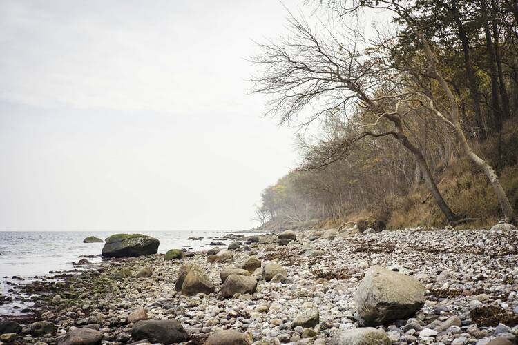 Natur pur an einem der einzigartigen Naturstrände erleben Katharinenhof Strand Fehmarn
