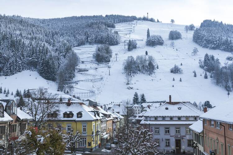 Hasenhorn Rodelbahn Todtnau