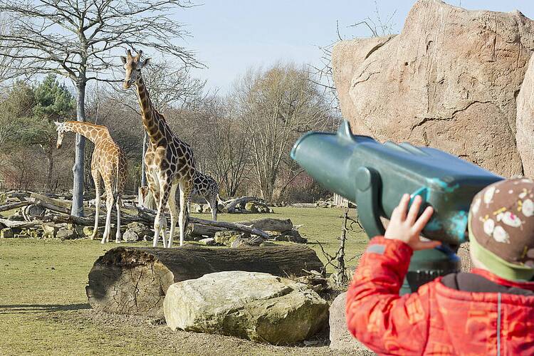 In den Leipziger Zoo Zoo Leipzig