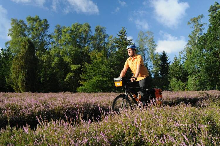 Eine Fahrradtour mit Kindern machen Radfahren Lüneburger Heide