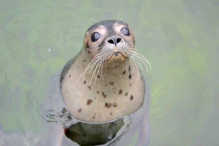 Ins Aquarium Kiel Aquarium Geomar Kiel