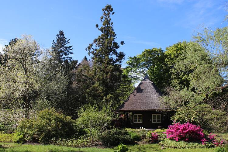 In den Botanischen Garten gehen Botanischer Garten Rostock