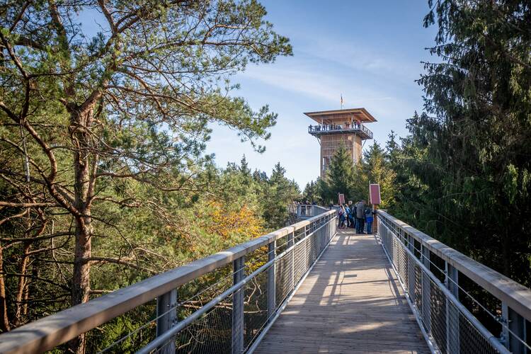 Der Heide-Himmel Baumwipfelpfad Heide-Himmel Baumwipfelpfad