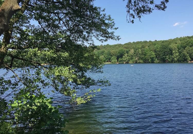 Der populäre Badesee: Schlachtensee Schlachtensee Berlin