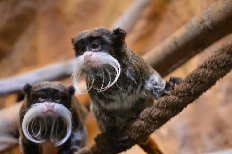 In den Tierpark Gettorf Tierpark Gettorf